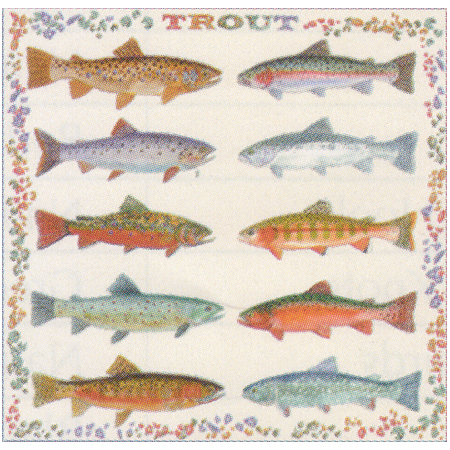 Trout Bandana
