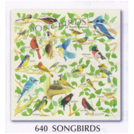 Songbirds Bandana