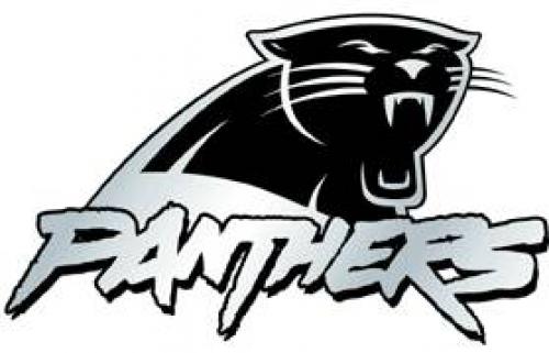 Picture of Carolina Panthers Auto Emblem - Silver