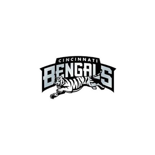 Picture of Cincinnati Bengals Auto Emblem - Silver