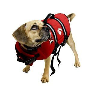 HUNTER K9 DESIGNS