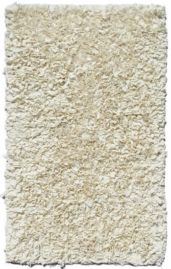 Picture of The Rug Market 02217B 2.67 ft. x 4.67 ft. Shaggy Raggy Rug - Cream