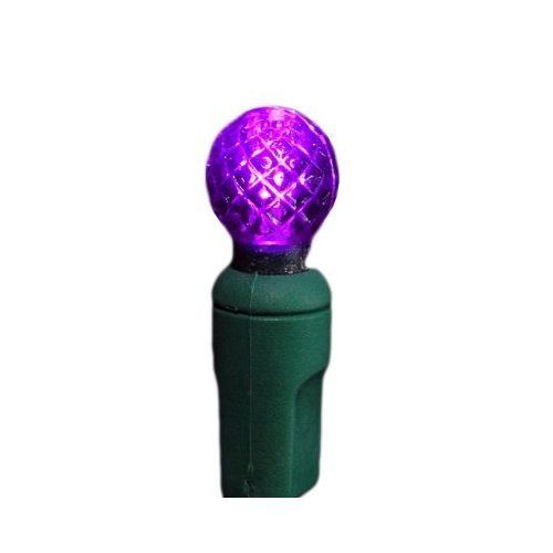 Purple G12 Raspberry LED Lights