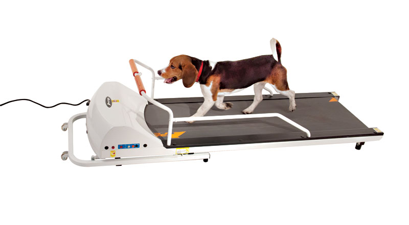 Picture of GoPet PR720F Dog Tread Mill - Medium Breeds- foldable - incline - White