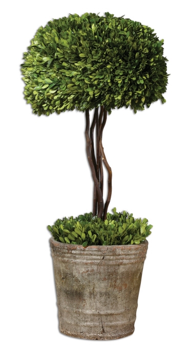 Picture of 212 Main 60095 Preserved Boxwood Tree Topiary