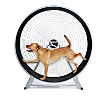Picture of GoPet CS6020 Dog powered Tread Wheel - Medium - large breed - Silver