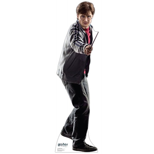 Harry Potter and the Deathly Hallows Cardboard Standup