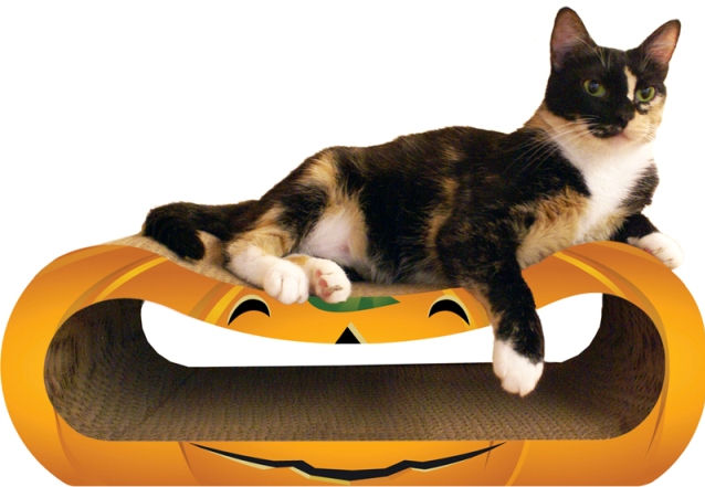Picture of Imperial Cat 01161 Shape Pumpkin Combo Squished