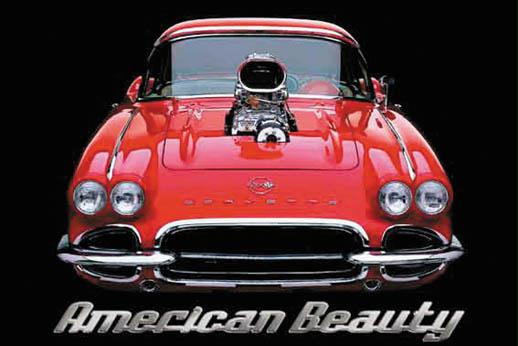 Hot Stuff 2307-16x20-CB American Beauty Poster