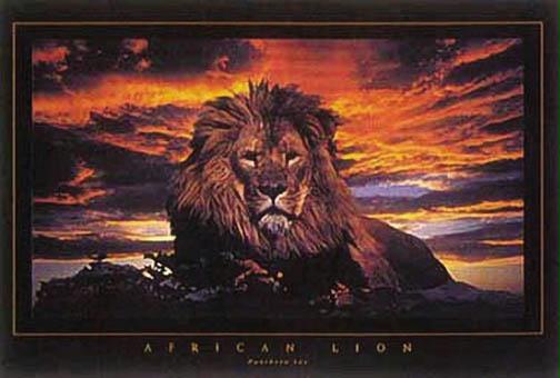 Hot Stuff 445-24x36_AN 24" x 36" Lion Poster