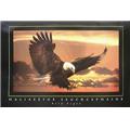 Hot Stuff 2081-24x36_AN 24" x 36" Eagle Poster Hot Stuff 2081-24x36_AN 24" x 36" Eagle Poster