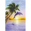 Hot Stuff 2584-24x36-AN Dolphin Sunrise Poster Hot Stuff 2584-24x36-AN Dolphin Sunrise Poster