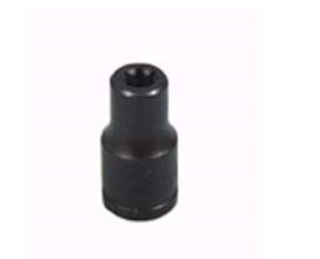 E5 Torx Socket .25 in. Drive