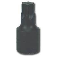 T70 Torx Bit