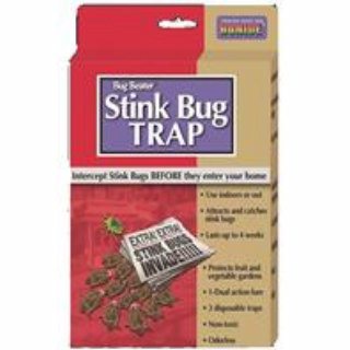 Picture of BONIDE PRODUCTS 917331 Stink Bug Trap - Non Toxic and Odorless