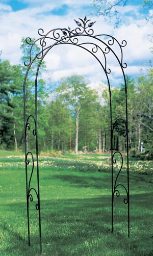 Tuileries Arbor - Graphite