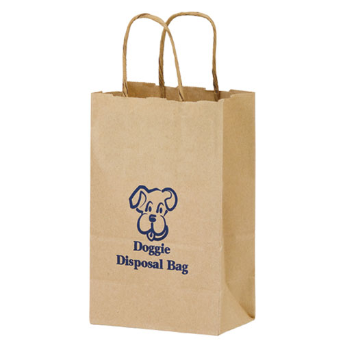 Picture of AAB 1N538 Natural Kraft Paper Shopping Bag - Pack of 250