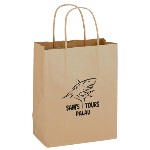 Picture of AAB 1N8410 8 in. x 10.25 in. Natural Kraft Paper Shopping Bag - Pack of 250