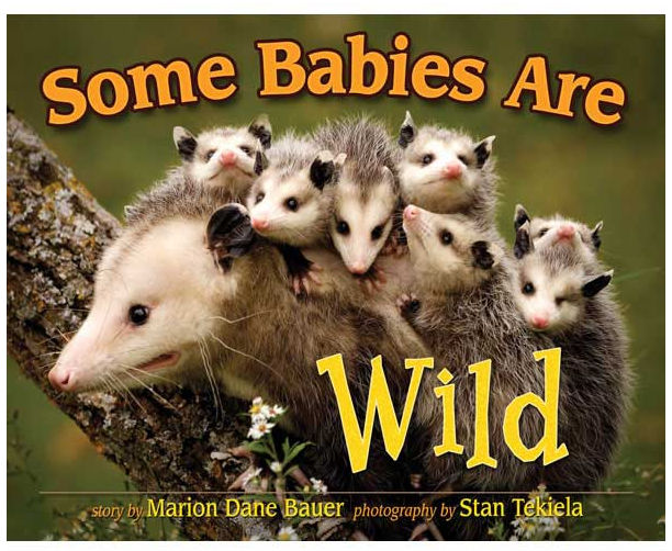Picture of Adventure Publications AP30846 Some Babies Are Wild