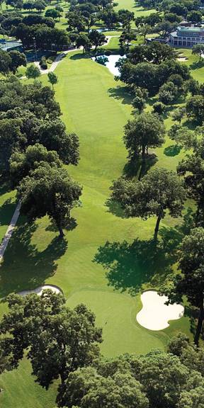 Picture of Biggies GM-CNL-80 Colonial Golf Murals - Hole No. 10