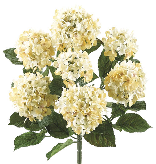 Picture of 20 Inch Hydrangea Bush  with Flocked Leaves in Cream Beige - Qty of 6