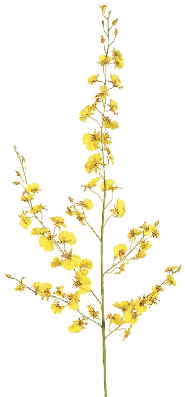 Picture of 40 Inch New Dancing Orchid Spray x77 Yellow - Qty of 12