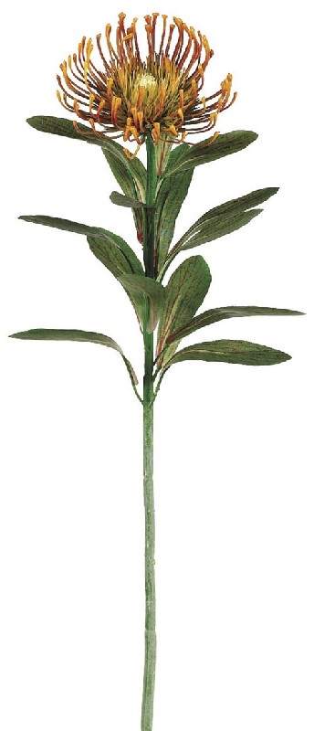 Picture of 28 Inch Plastic Protea Spray x1 - Rust - Qty of 12