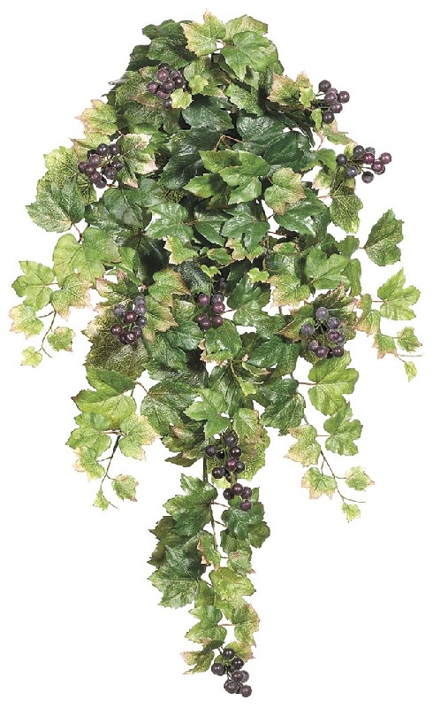 Picture of 30 Inch Grape Leaf Hanging Bush x9 with Grapes  - Qty of 6