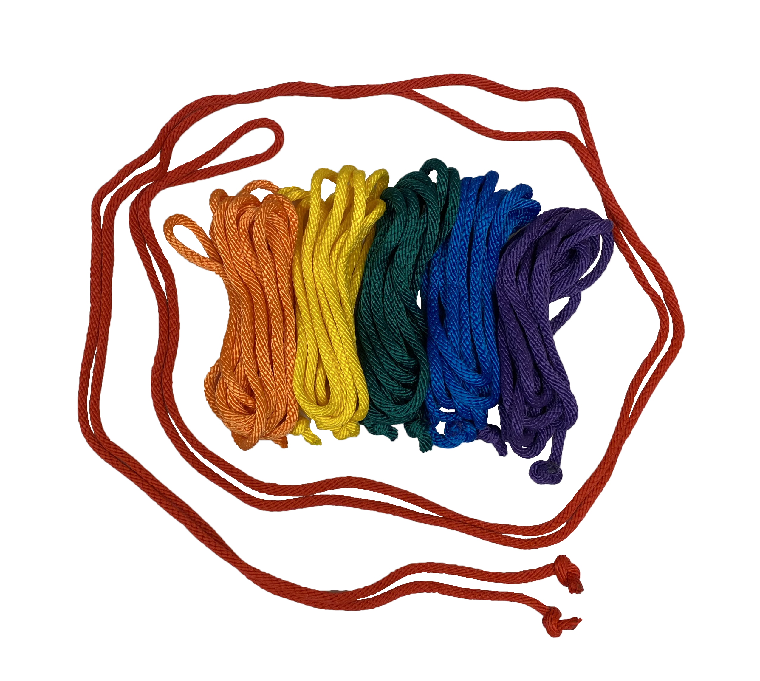 Picture of Everrich EVA-0015 Durable Nylon Jump Ropes - 16 Feet - Set of 6