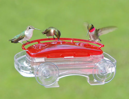 Picture of Aspects ASPECTS407 Jewel Box Window Hummingbird Feeder