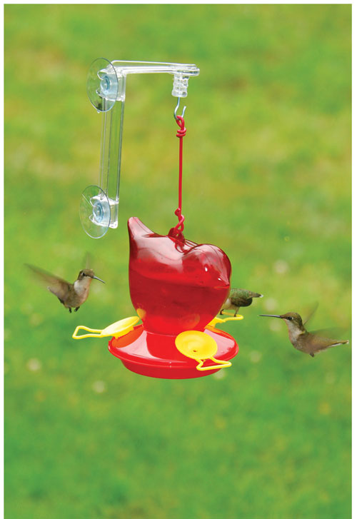 SEBCO312W Window Bird Hummingbird Feeder - Red -  Songbird Essentials