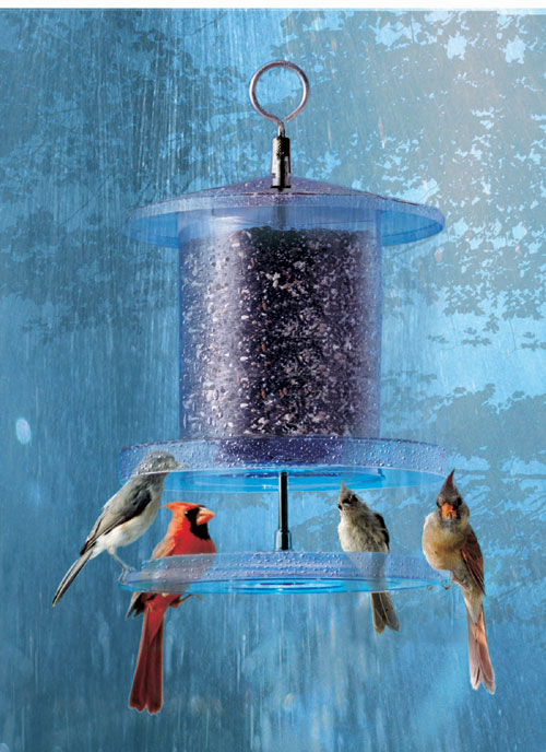Picture of Songbird Essentials SEAWFFF736 Clear All Weather Bird Feeder 6 Quart