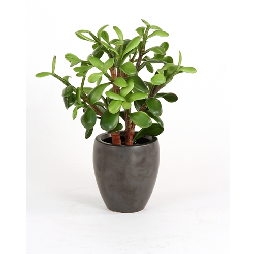 Jade Plant - Matte Black Metallic Pot - Pack of 2 - Realistic Artificial Greenery