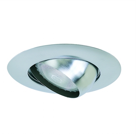 Nora Lighting NT-28N 6 in.-EYEBALL TRIM-NATURAL METAL