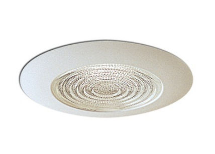 Picture of Nora Lighting NP-23 6 in.-SHWR TRIM-FRESNEL-PLS RING
