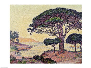 'Umbrella Pines at Caroubiers 1898' - Poster - 24x18