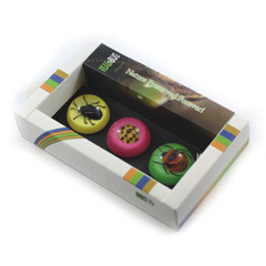 MT3002 3PC Magnet Set with Real Beetle in Acrylic