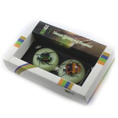 Picture of Ed Speldy East MT3803 2PC Magnet set with Real Beetle in Acrylic