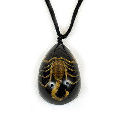 Picture of Ed Speldy East NEK213 Leather Necklace - Gold Scopion with Black Background