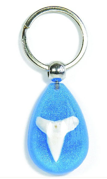 OLK122 LED Shark Tooth Blue Sand Key Chain