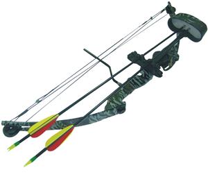 Picture of Arrow Precision 195 Caribou