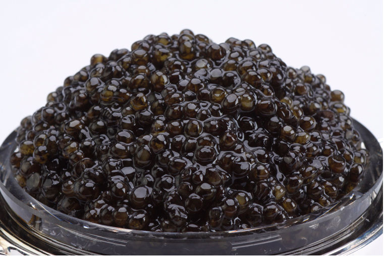 Picture of Bemka 12714 14oz-400gr White Sturgeon Caviar