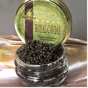 Picture of Bemka 12916 16oz-450gr Royal Siberian Ossetra Caviar - Acipenser Baerri