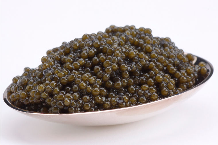 Picture of Bemka 13140 4oz-112g Paddlefish Caviar