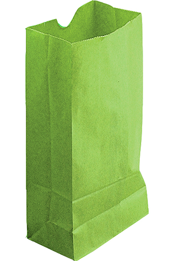 Picture of Hygloss Products  Inc. HYG66519 Colored Craft Bags Lime Green