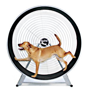 Picture of GoPet CS6018 GoPet TreadWheel For Large Dogs