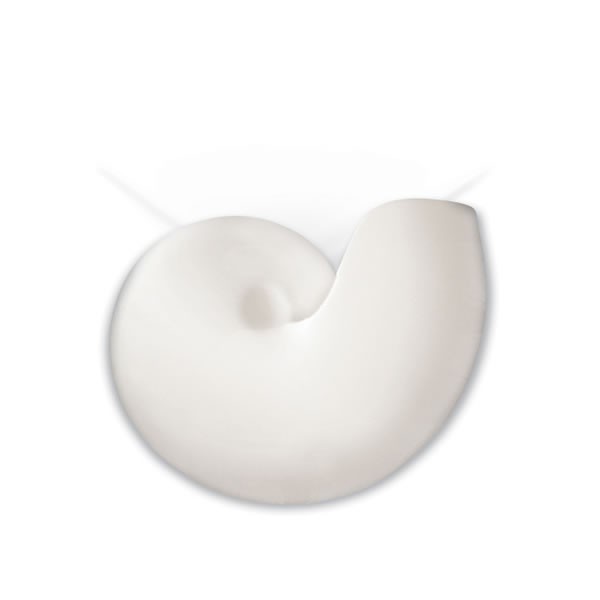 Picture of A19 1103 Bisque Islands of Light Contemporary / Modern 1 Light Up/Down Lighting Nautilus Wall Sconce