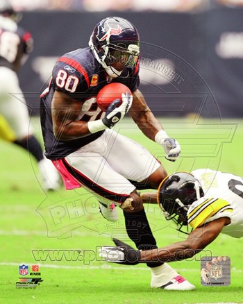 Picture of Photofile PFSAAOC06001 Andre Johnson 2011 Action -8 x 10 Poster Print