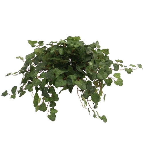 Picture of DDI 2838A Topper with Silk Swedish Ivy in a Terra Cotta Saucer  - Pack of - 2