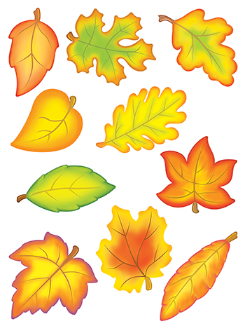 Picture of Teacher Created Resources TCR4419 Accent Dazzlers Autumn Leaves